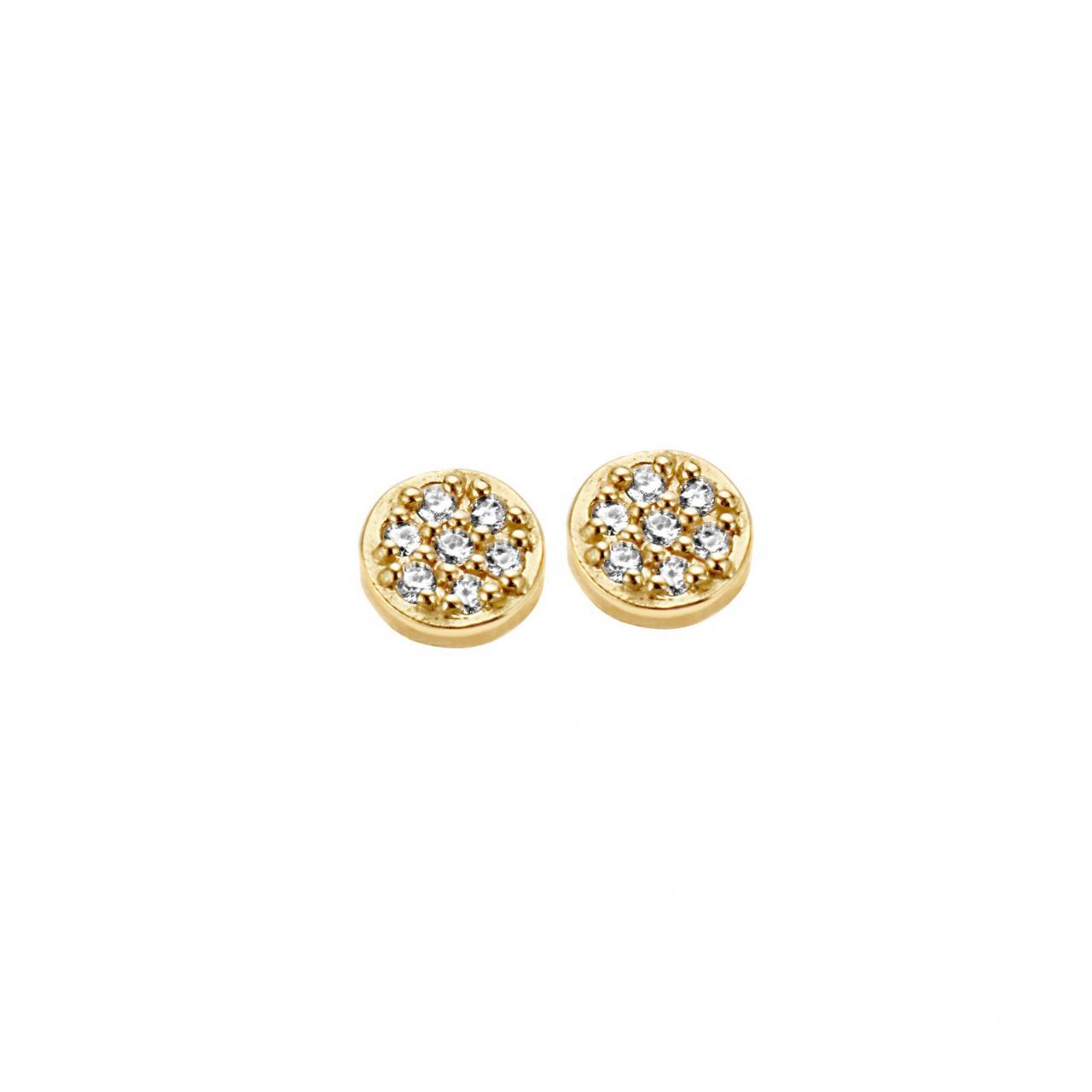 14 Karat Guld ørestikker Fra Spirit Icons S44066